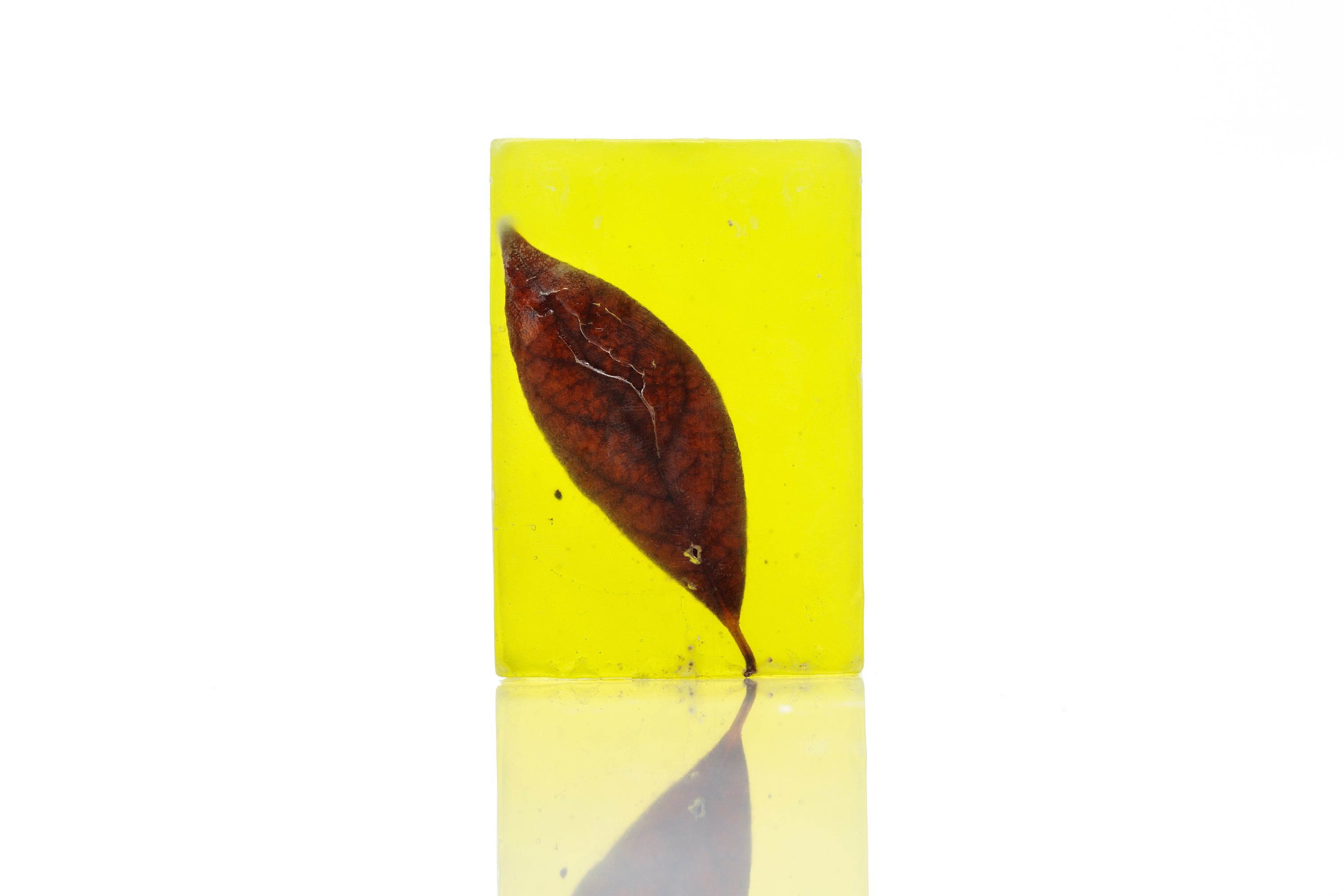 The Leaf Soap Bars - 100% Handcrafted Natural Soap Bars